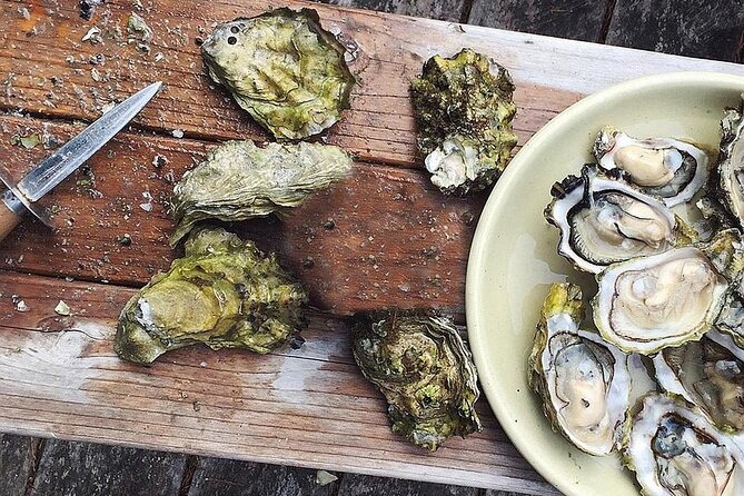 Peljesac Wine & Ston Oysters PRIVATE HALF DAY SHORE TOUR - Ponikve and the Plavac Mali grape