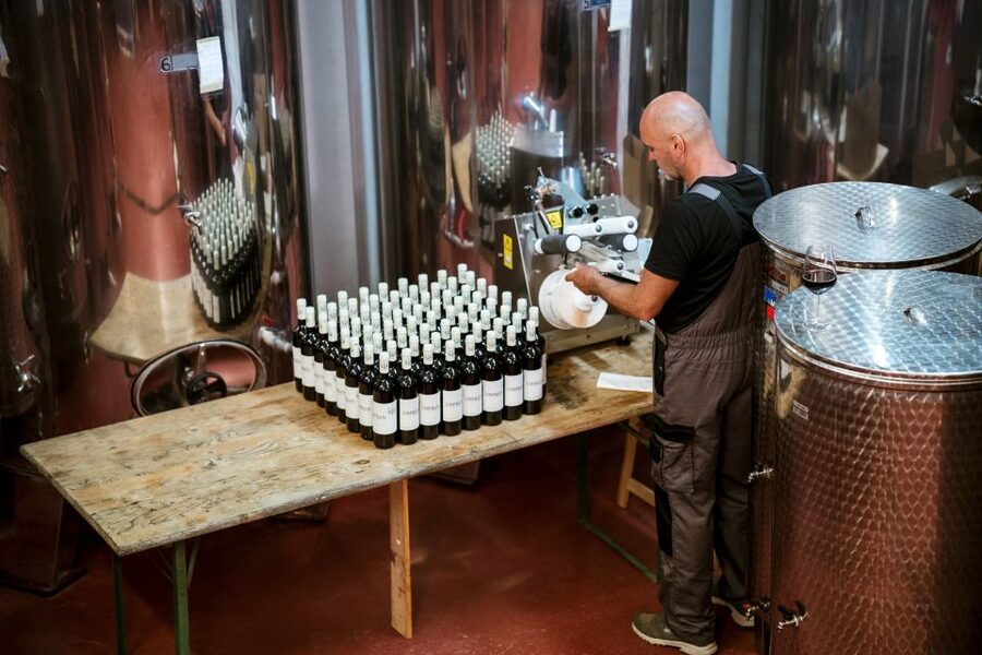 Pelješac wine tasting and local winery visit - How to fit it into your Ston day