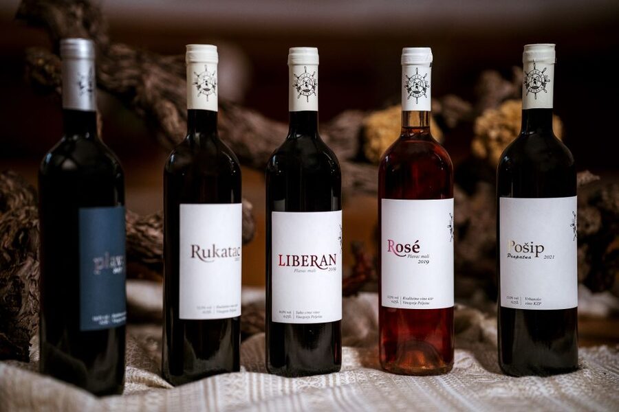 Pelješac wine tasting and local winery visit - What the tasting feels like