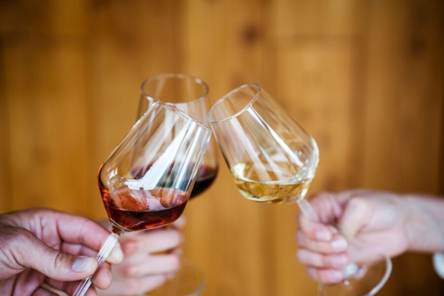 Pelješac wine tasting and local winery visit - Who should book this experience?