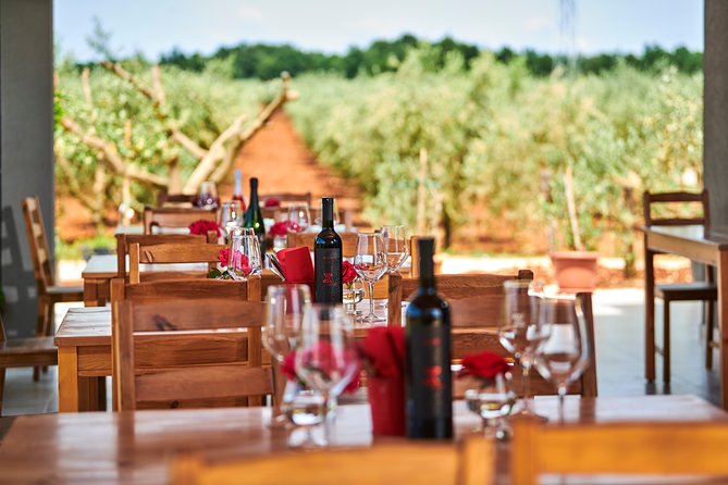 PERVINO - Wine tasting - Key points to know before booking