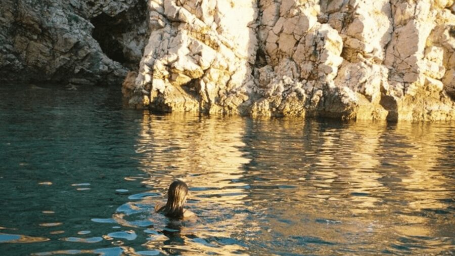 Plavnik Island: A public half day boat tour - Key points to know before you book