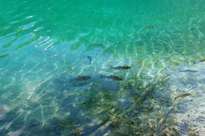 Plitvice Lakes Day Tour from Zadar, Simple and Safe - Why Plitvice is worth the long ride from Zadar