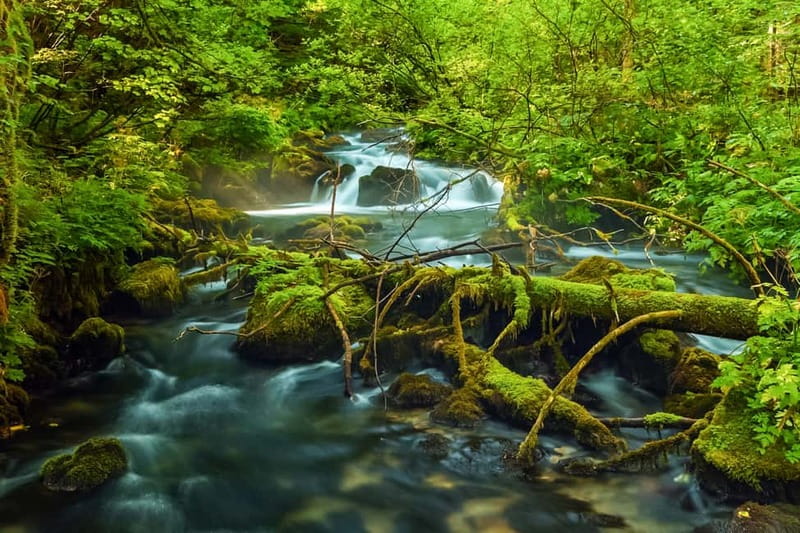 Plitvice Lakes: Guided Walking Tour with Train and Boat Ride - Why Plitvice works best with a guide