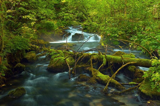 Plitvice Lakes Private Guided Walking Tour - Starting at Buffet Slap and choosing your route