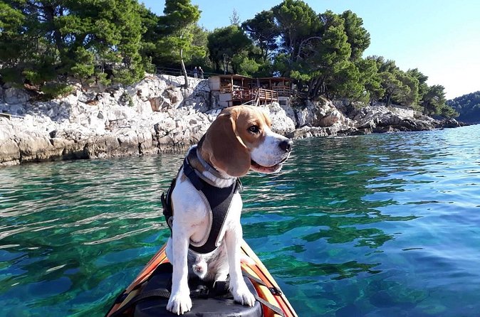 'Pomalo' Guided Sea Kayaking Tour in Cavtat - Supetar Island and the swimming stop