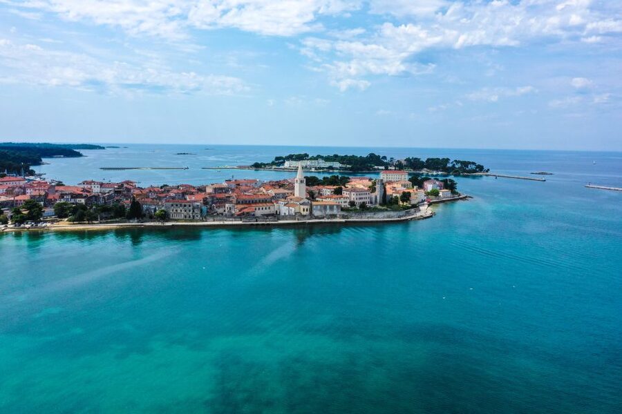Poreč: Dolphin Spotting Cruise with Included Drinks - Crew service and the mood onboard