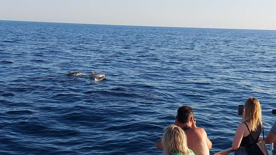 Poreč: Sunset Dolphin Safari with Dinner and Drinks - Setting Sail from Poreč on the Manon