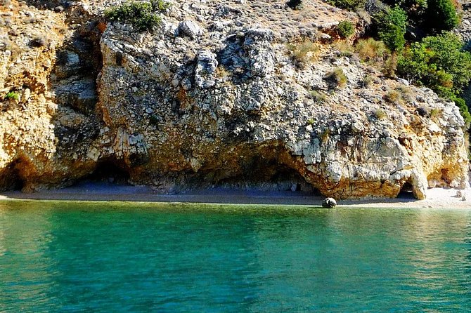 Private 7,5h Plavnik Island & Wild Bays Full-day Boat Trip - What the $685.67 group price means
