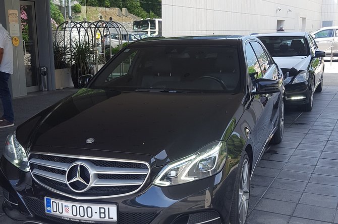 Private Departure Transfer - Dubrovnik to Dubrovnik Airport - Timing, luggage, children, and service animals