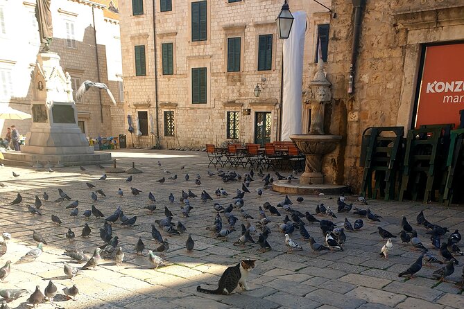 Private Fort Lovrijenac and Dubrovnik City Tour - What $59.67 buys you