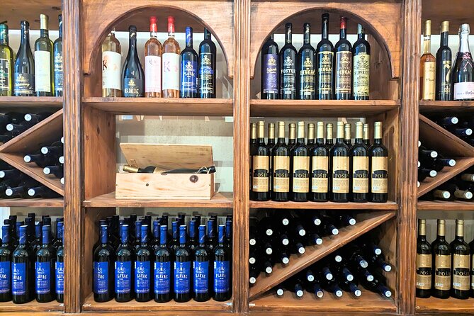 Private Full Day Peljesac Wine Tasting Tour from Dubrovnik - Timing, comfort, and practical details