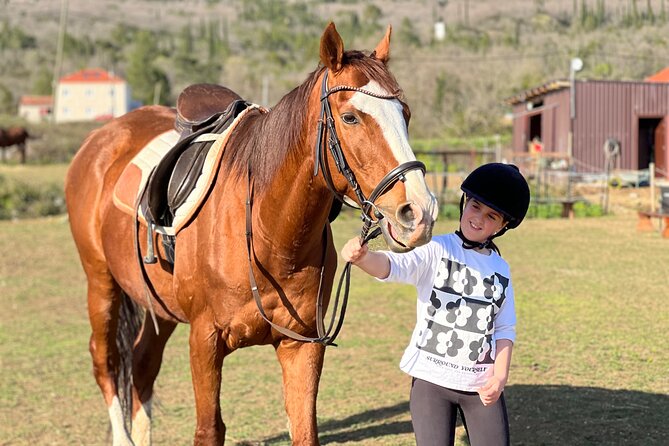 Private Horseback Riding and Family Time in Konavle Region - Key points to know before you book