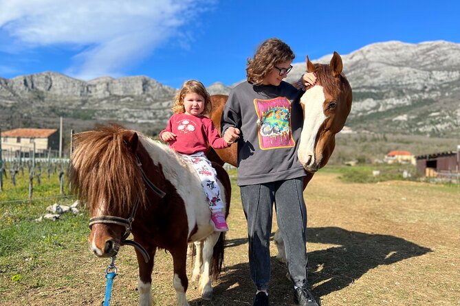 Private Horseback Riding and Family Time in Konavle Region - How private touring changes the experience