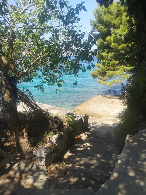 Private Island Hopping Boat tour around Zadar with Drinks - Why the skipper makes the difference