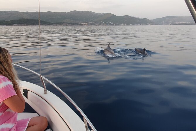 Private Local Guided Speedboat Tour in Dubrovnik Archipelago - Donje Čelo and Gornje Čelo on Koločep