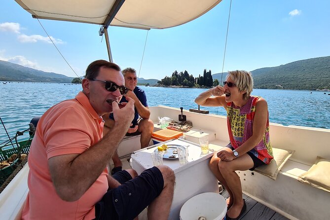 Private Oyster and Wine Tasting Day Trip along Peljesac - Private transport makes the long day easier