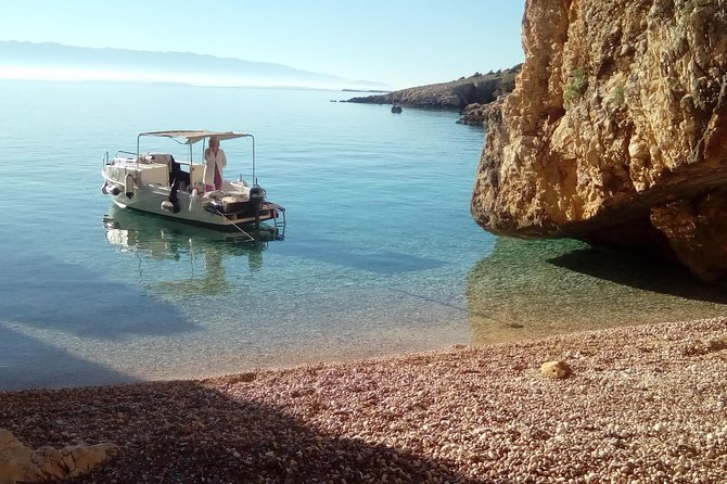 Private Plavnik Island Half-Day boat trip with capt. Bobo - Griffon vultures and other wildlife