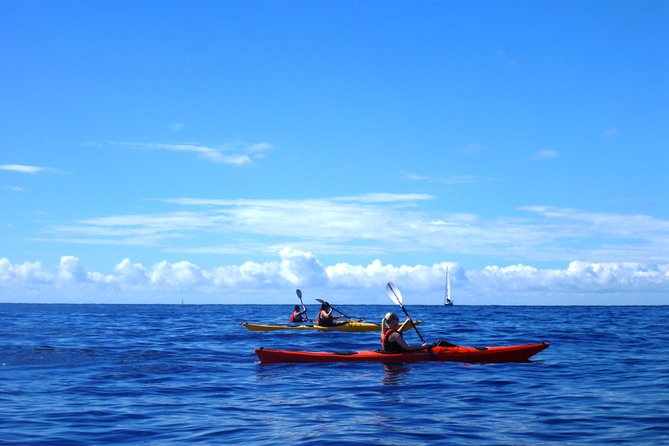 Private tour: Sea Kayaking & Snorkeling to Green Cave on Sipan island from Lopud - Who Will Enjoy This Most