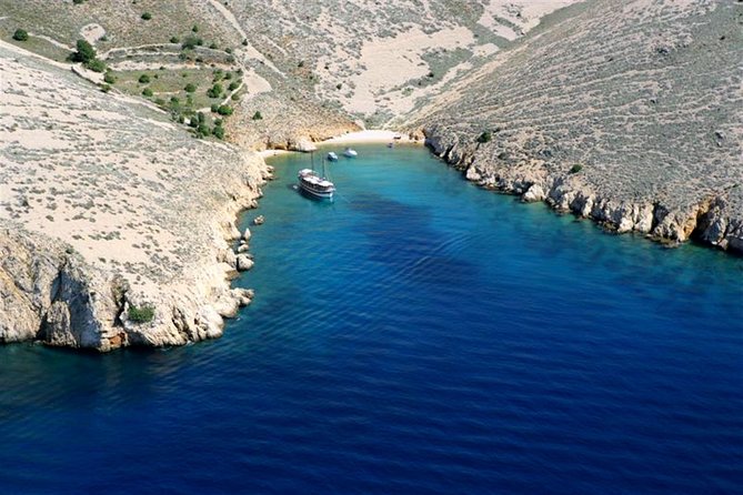 Private Wild Bays Boat Trip with Captain Bobo - Who will get the most from this boat trip