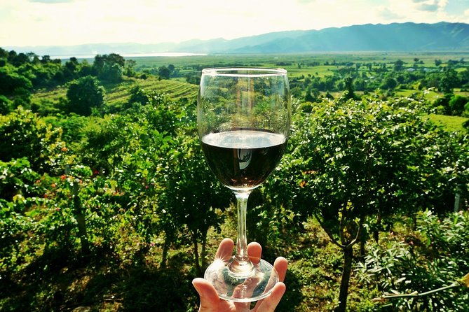 Private Wine Tour from Zagreb: Two Local Wineries & Samobor - Why Plešivica makes a strong wine day from Zagreb