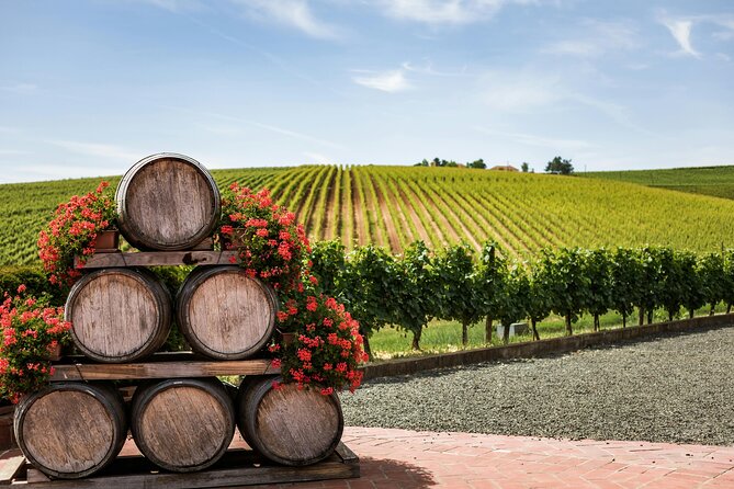 Private Wine Tour from Zagreb: Two Local Wineries & Samobor - What happens at the two Plešivica wineries