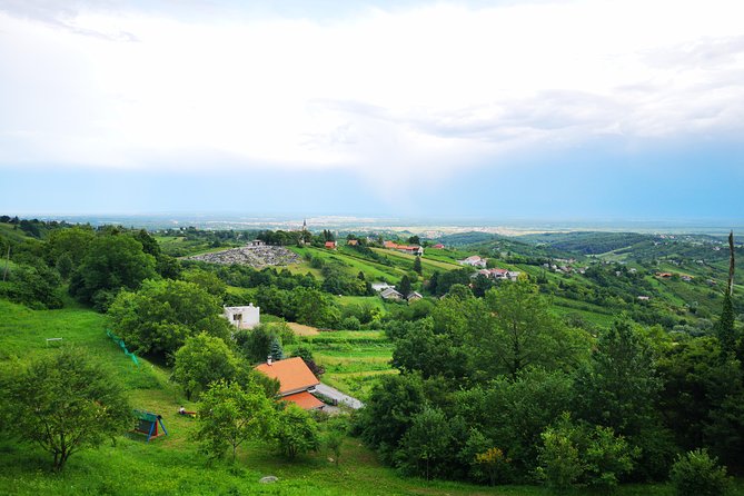 Private Wine Tour from Zagreb: Two Local Wineries & Samobor - Who will get the most from this outing