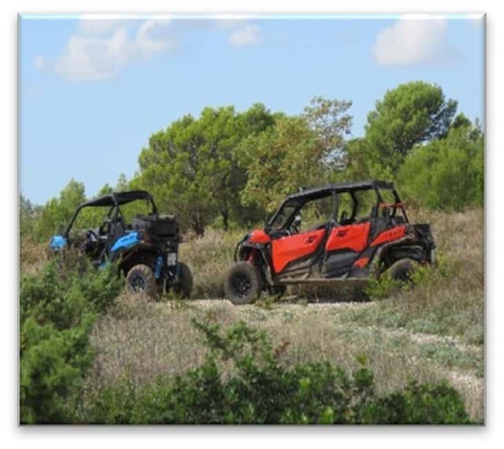 PULA AND ROVINJ: BUGGY FAMILY SAFARI 1, 2 & 4 H - Key points at a glance