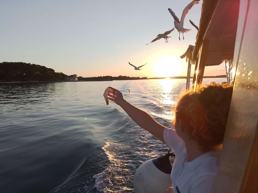 Pula: Brijuni National Park Dolphin Watching Tour w/Dinner - Is $62 a fair price?