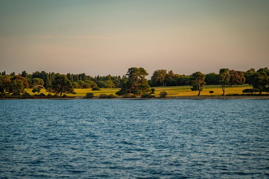 Pula: Brijuni National Park Sunset, Dolphins & Dinner Cruise - Searching for dolphins around Brijuni’s 14 islands