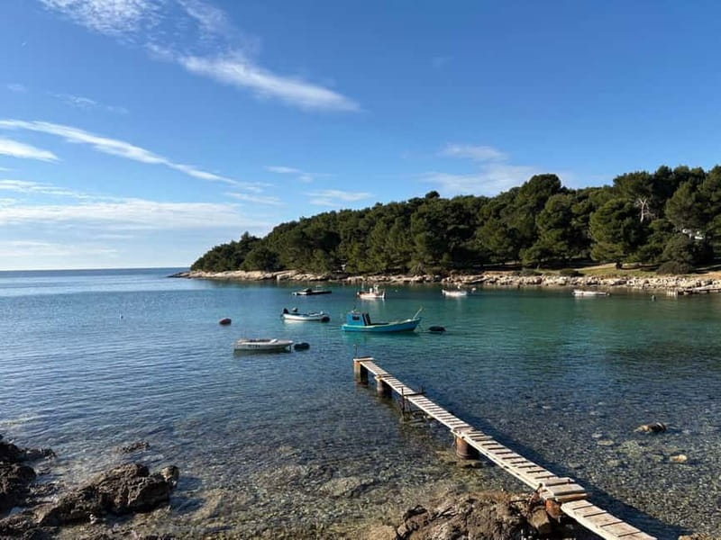 Pula by E-Bike: Roman Ruins, Sea Views & Hidden Gems - Is $74 a fair price?