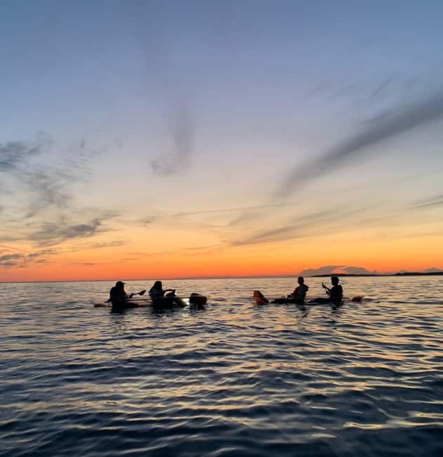 Pula: Cave Sunset/Night Tour in Transparent Kayak - Following the coast as daylight fades