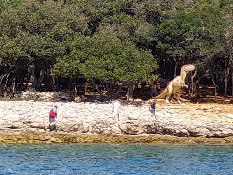 Pula: Dolphin-Watching Cruise at Sunset with Dinner & Drinks - Is $62 a fair price?