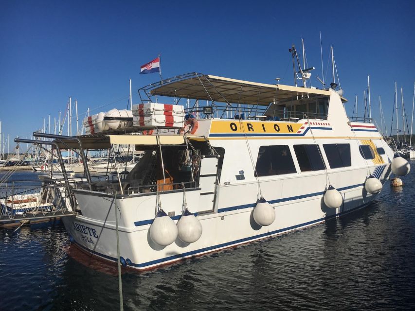 Pula: Dolphin Watching Sunset Cruise with Dinner & Drinks - Should you book the Orion Travel dolphin cruise?