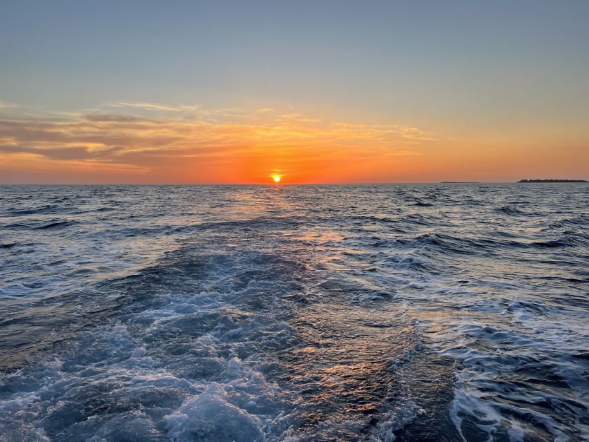 Pula: Dolphin Watching Sunset Cruise with Dinner & Drinks - How it compares with a standard Pula evening