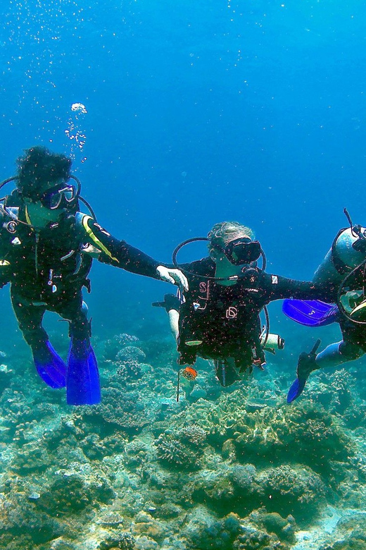 Pula: Introduction to Scuba Diving - My verdict on this first scuba session