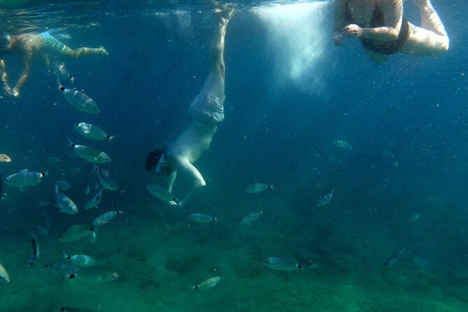 Pula:Kayak Tour-Cliff jumping,snorkeling&free GoPro pictures - Starting beside Big Mama Beach Bar