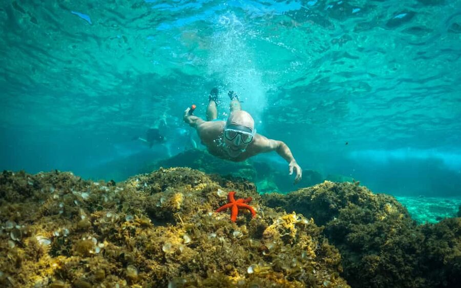 Pula: Kayaking,Snorkeling, Cliff jumping Tour with Wetsuit - Quick reasons to book