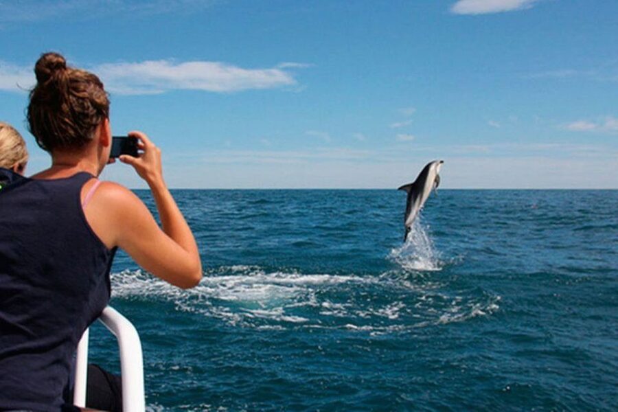 Pula: National Park Brijuni Island Visit & Dolphin Cruise - Leaving Pula for the Brijuni Islands