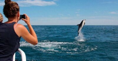 Pula: National Park Brijuni Island Visit & Dolphin Cruise