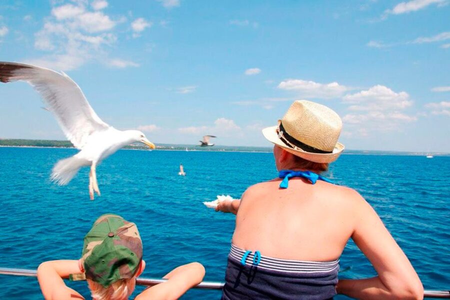 Pula: National Park Brijuni Island Visit & Dolphin Cruise - What the Price Gives You