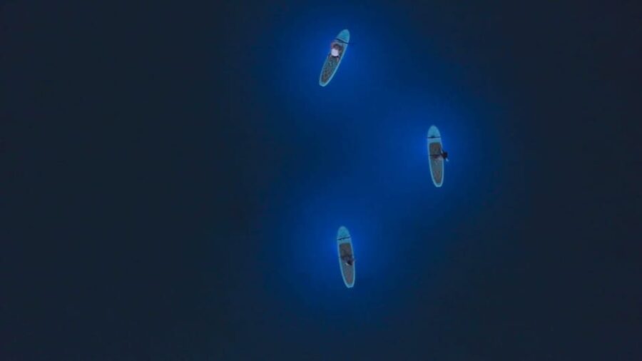 Pula: Night LED Stand-Up Paddle Board Tour - What the guides add for first-time paddlers