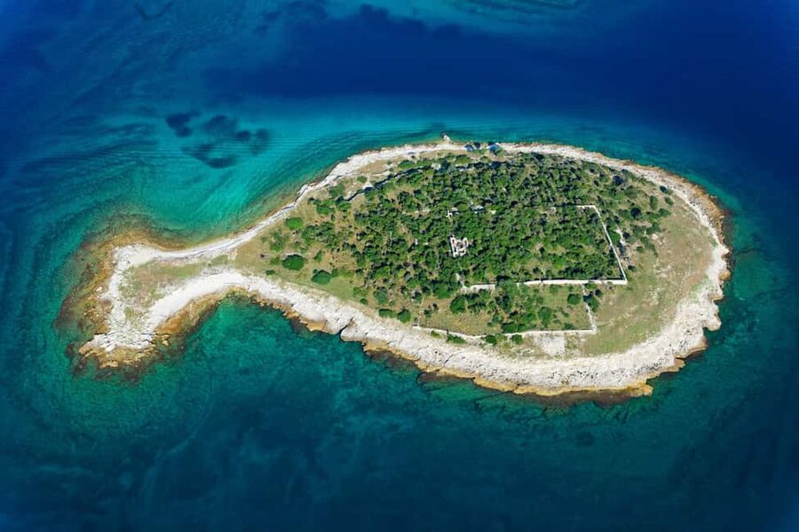 Pula: Private Brijuni Tour With Swimming, Dinner & Drinks - Meeting point, timing, and practical planning