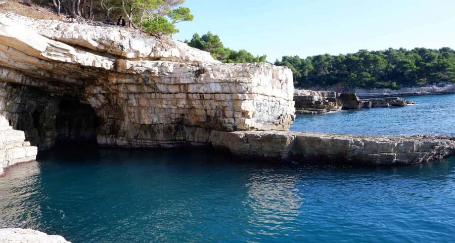 Pula: Private Brijuni Tour With Swimming, Dinner & Drinks - Who will enjoy this Brijuni outing most?