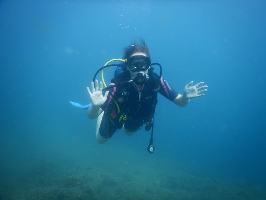 Pula: Private Introduction to Scuba Diving - Looking for octopus and seahorses