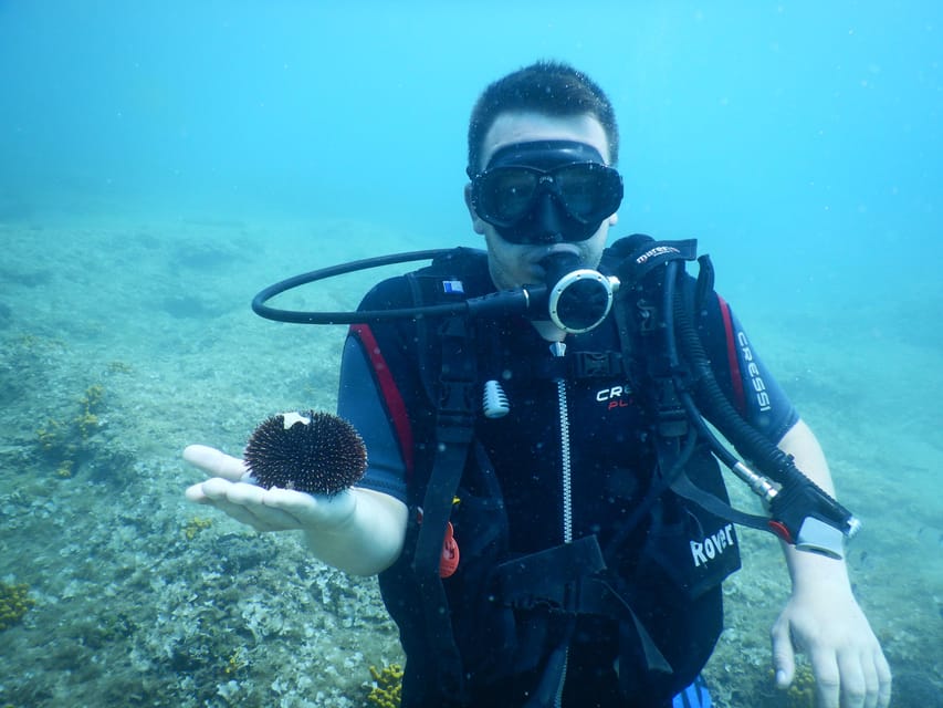 Pula: Private Introduction to Scuba Diving - Languages and instructor support