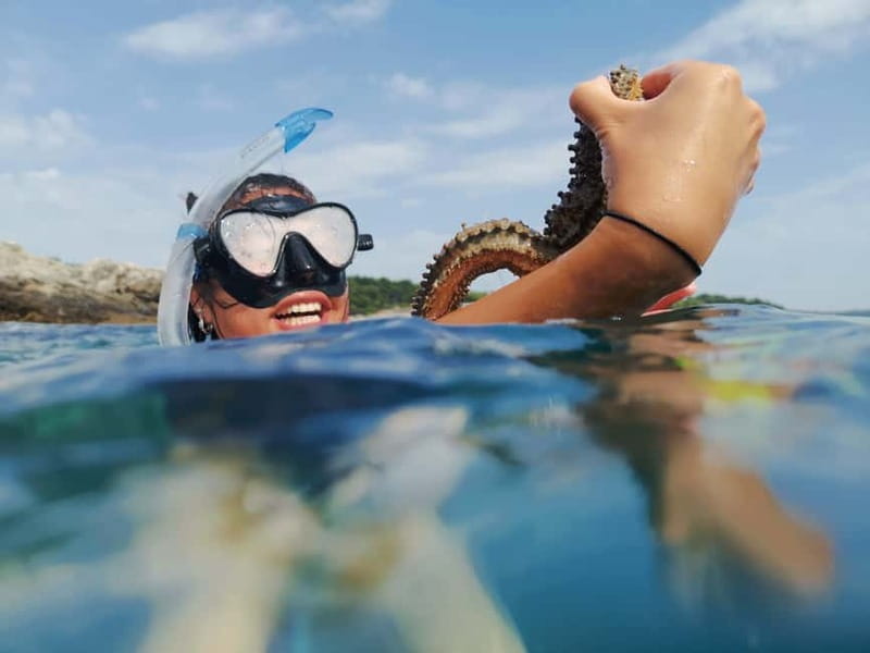 Pula: Sea Adventure – Boat, Kayak, Snorkeling & Cliff Jumps - Key points at a glance