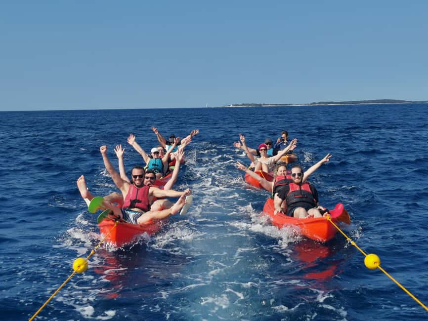 Pula: Sea Adventure – Boat, Kayak, Snorkeling & Cliff Jumps - Wildlife around the cliffs