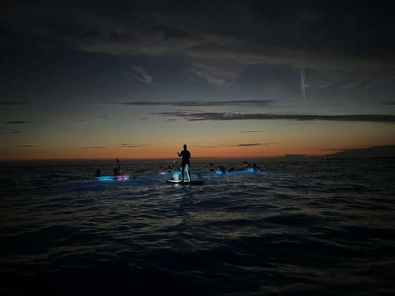 Pula: Sunset/Night Illuminated Transparent Kayak Tour - Who will enjoy this most