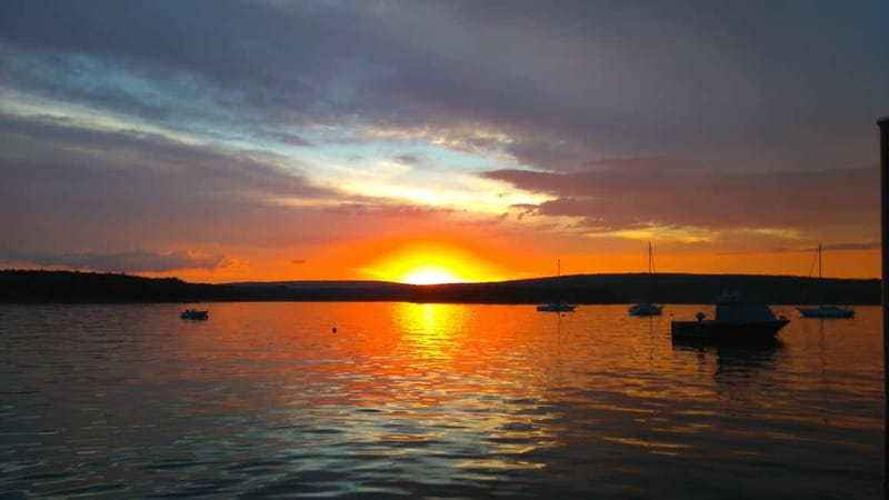 Punat: Plavnik and Krk Islands Private Boat Trip - Who will get the most from this trip